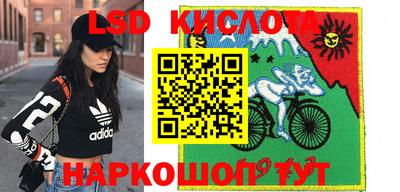 шишки Коммунар